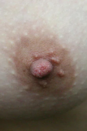 Round-Faced Brunette Shows Her Tits — photo 28