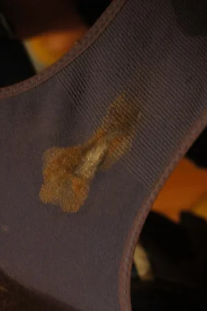 Russian Girls' Dirty Panties — photo 37